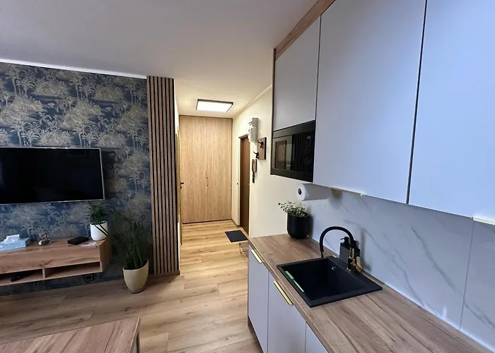 Daire Classy For Two Gdansk